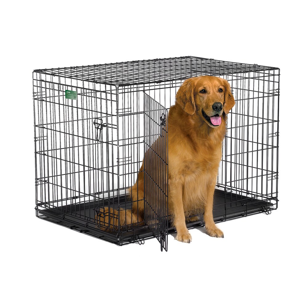 Midwest iCrate Double Door Dog Crate with Divider Bed Bath