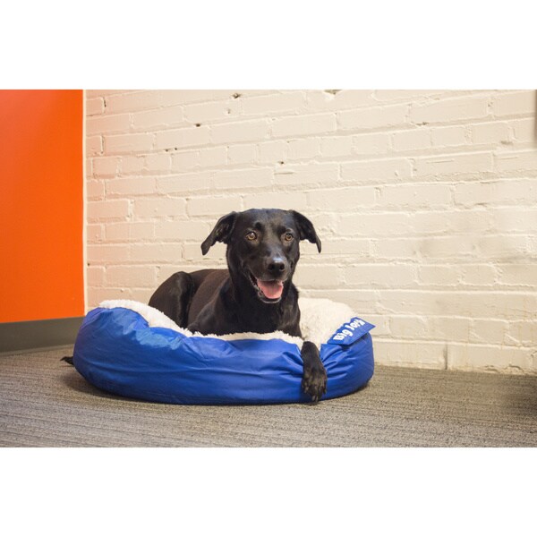 big joe dog bed