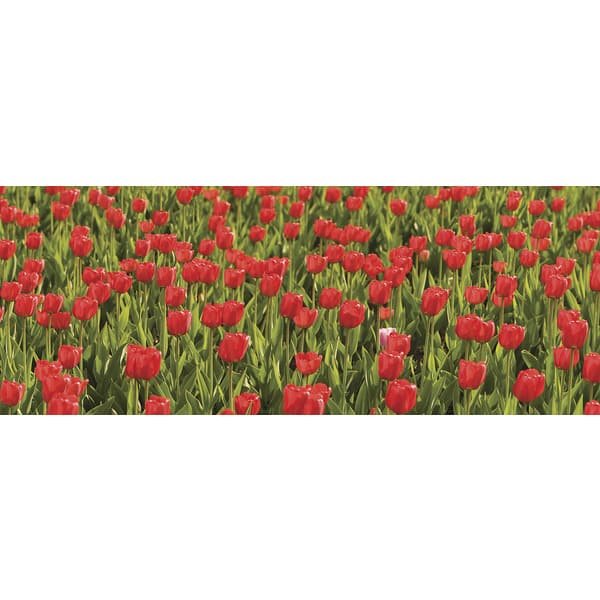 Ideal Decor 'Red Tulips' Wall Mural Overstock 8329904