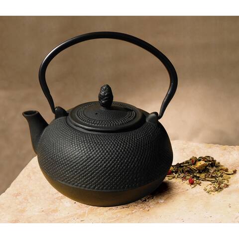 Cast Iron 3-liter 'Hakone' Teapot/ Wood Stove Humidifier