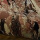 preview thumbnail 49 of 76, Nourison Modesto MDS03 Area Rug