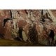 preview thumbnail 60 of 76, Nourison Modesto MDS03 Area Rug