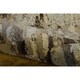 preview thumbnail 62 of 76, Nourison Modesto MDS03 Area Rug
