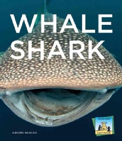 Whale Sharks Search Results | Overstock.com