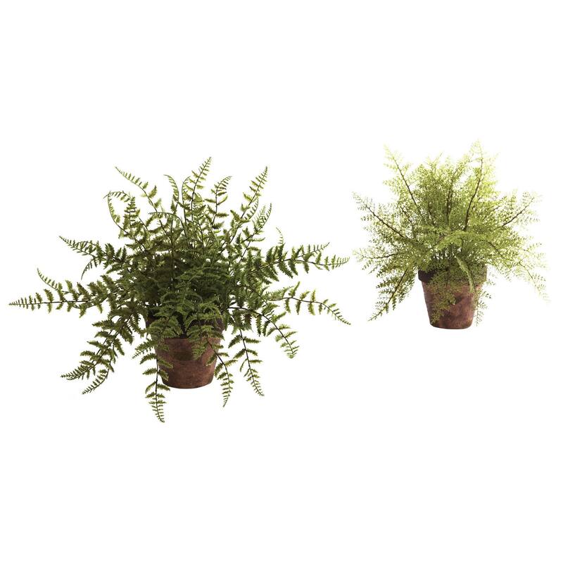 Decorative Fern Planters (Set of 2)