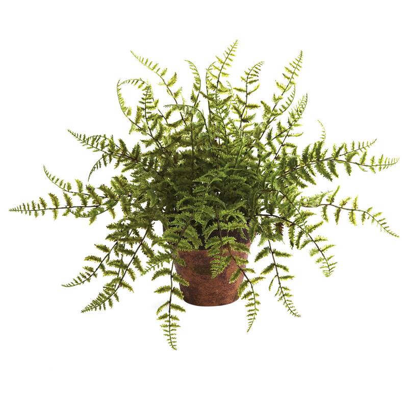Decorative Fern Planters (Set of 2)