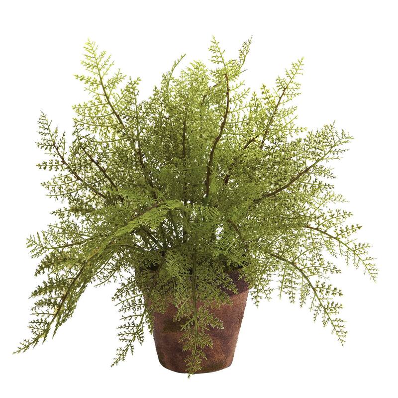 Decorative Fern Planters (Set of 2)