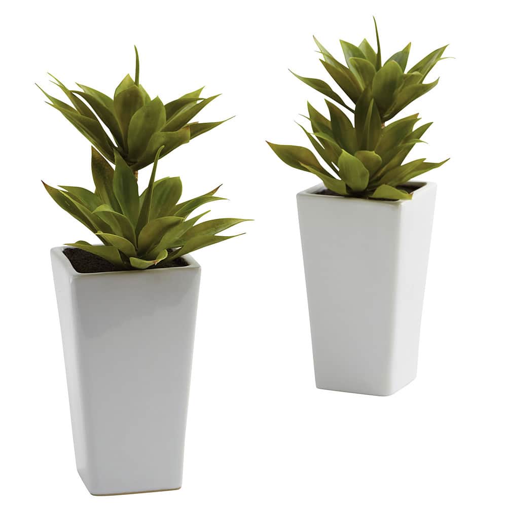 Double Mini Agave and Planter Decorative Plants (Set of 2)