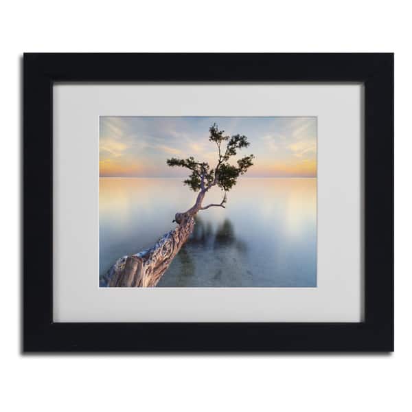 Moises Levy 'Water Tree XIV' Framed Matted Art Overstock 8353522