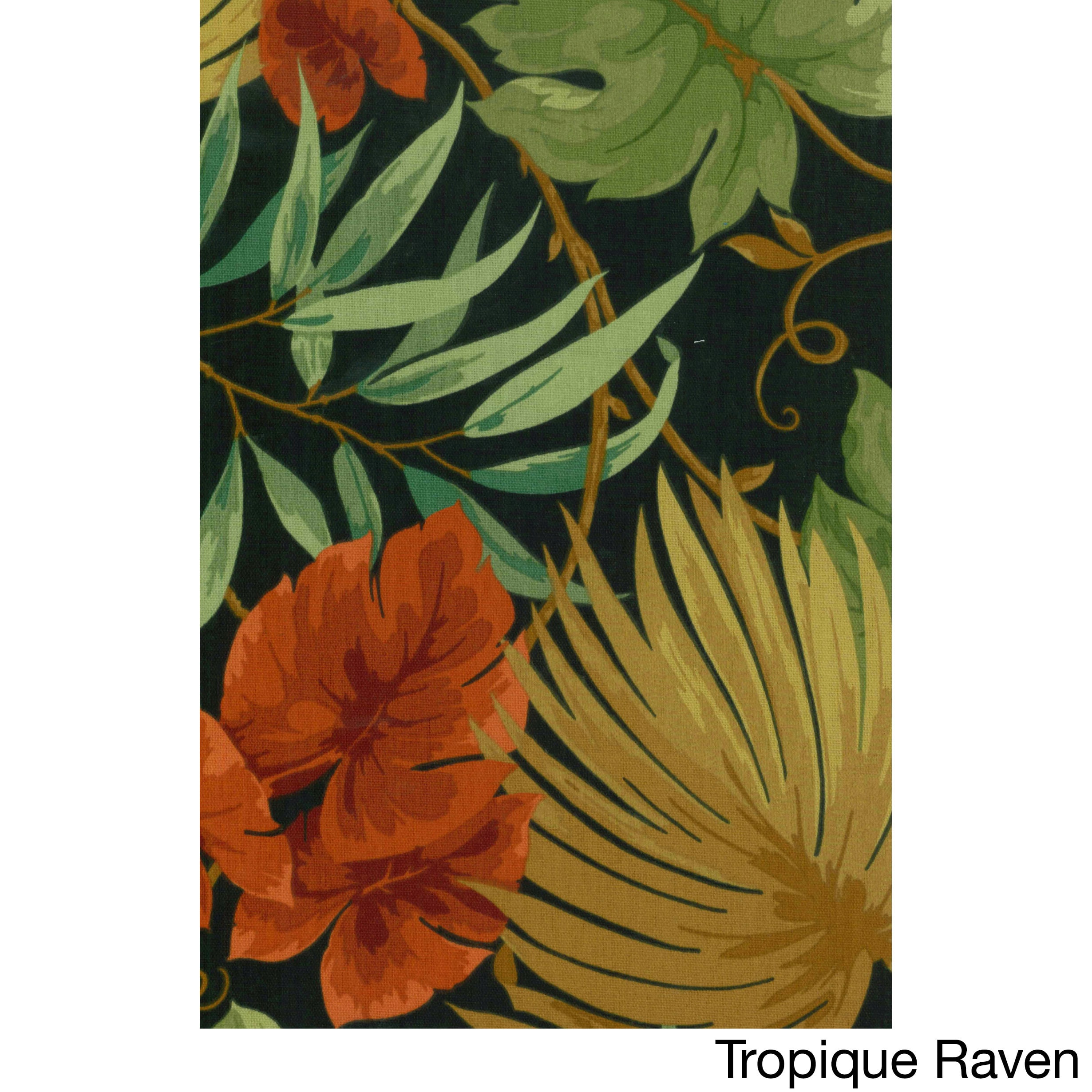 Option Tropique Raven