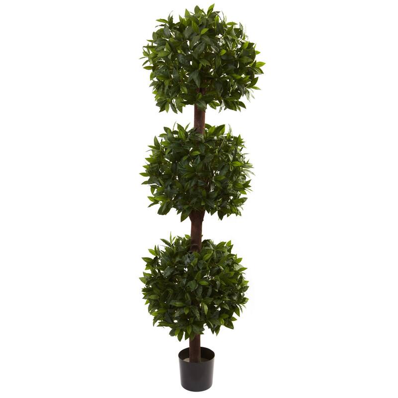 6.5-foot Sweet Bay Triple Ball Topiary