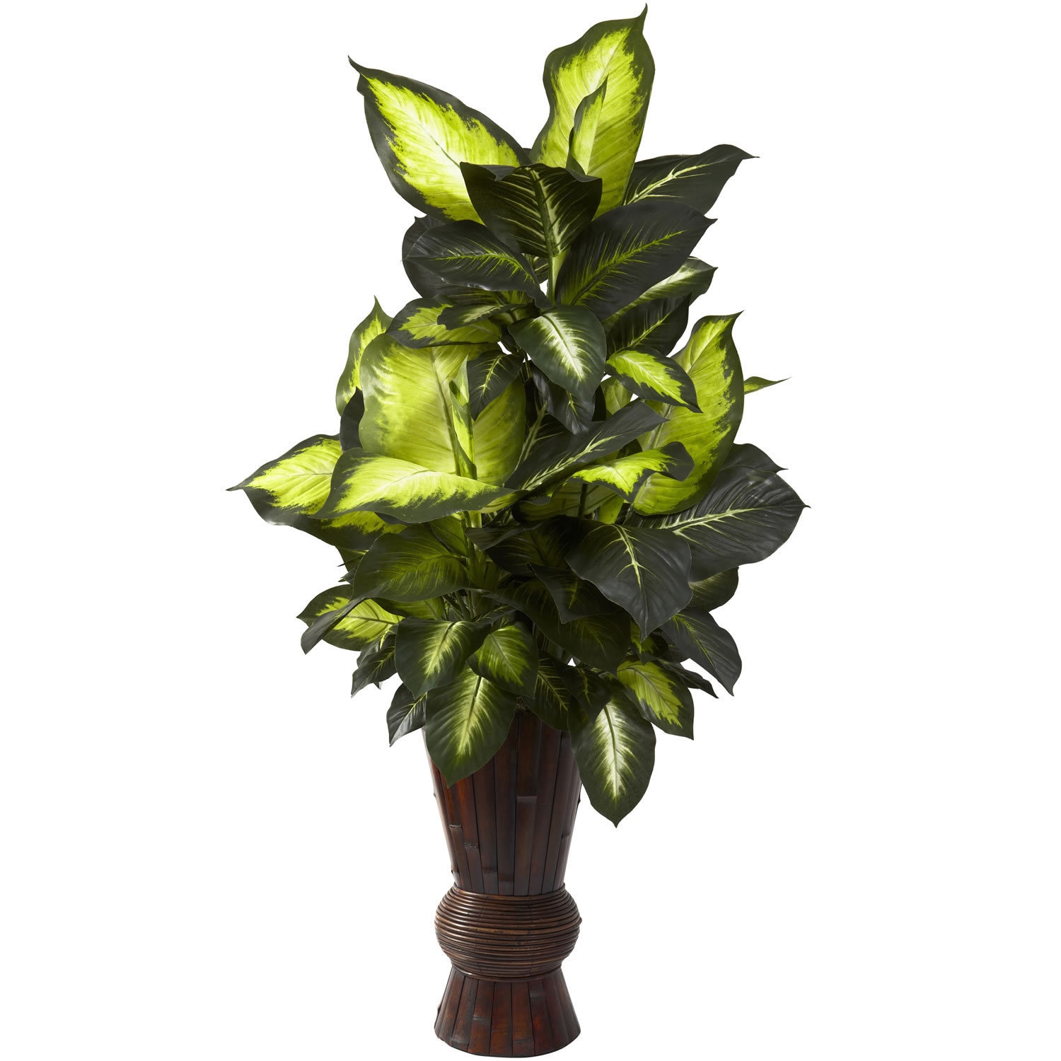 Golden Dieffenbachia And Bamboo Planter Green Overstock 8368589