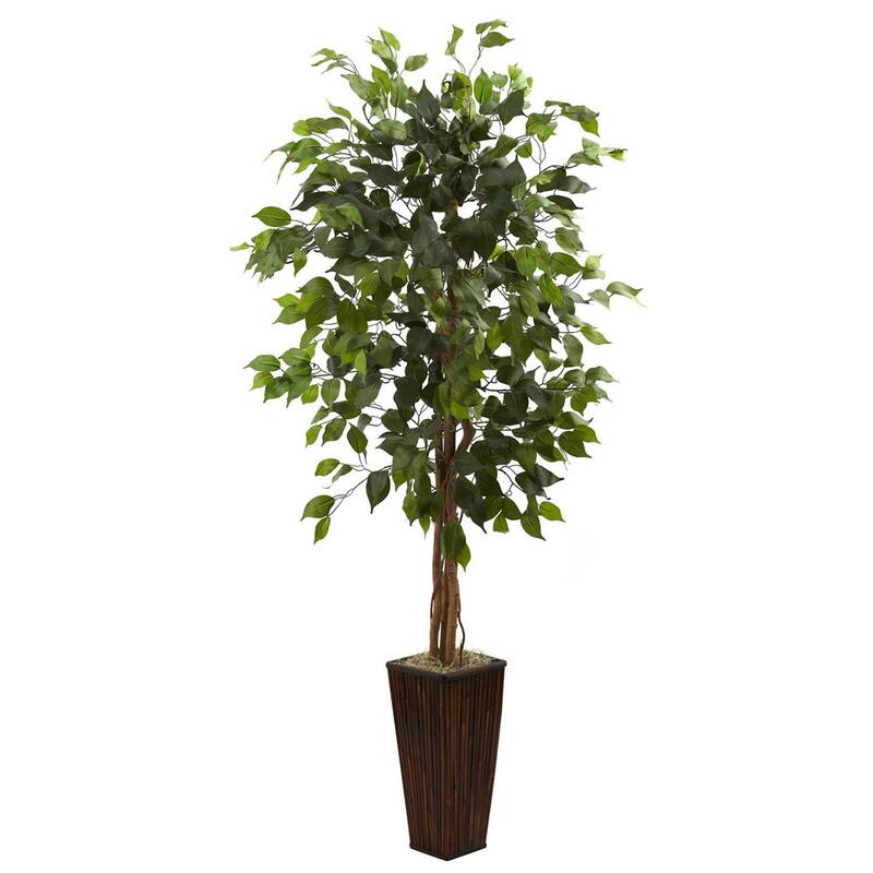 5.5-foot Ficus Tree with Bamboo Planter - Green