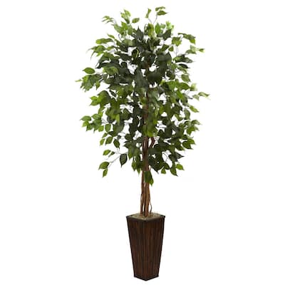 5.5-foot Ficus Tree with Bamboo Planter - Green