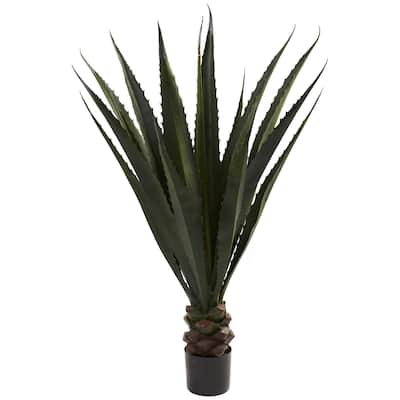 52-inch Giant Agave Plant