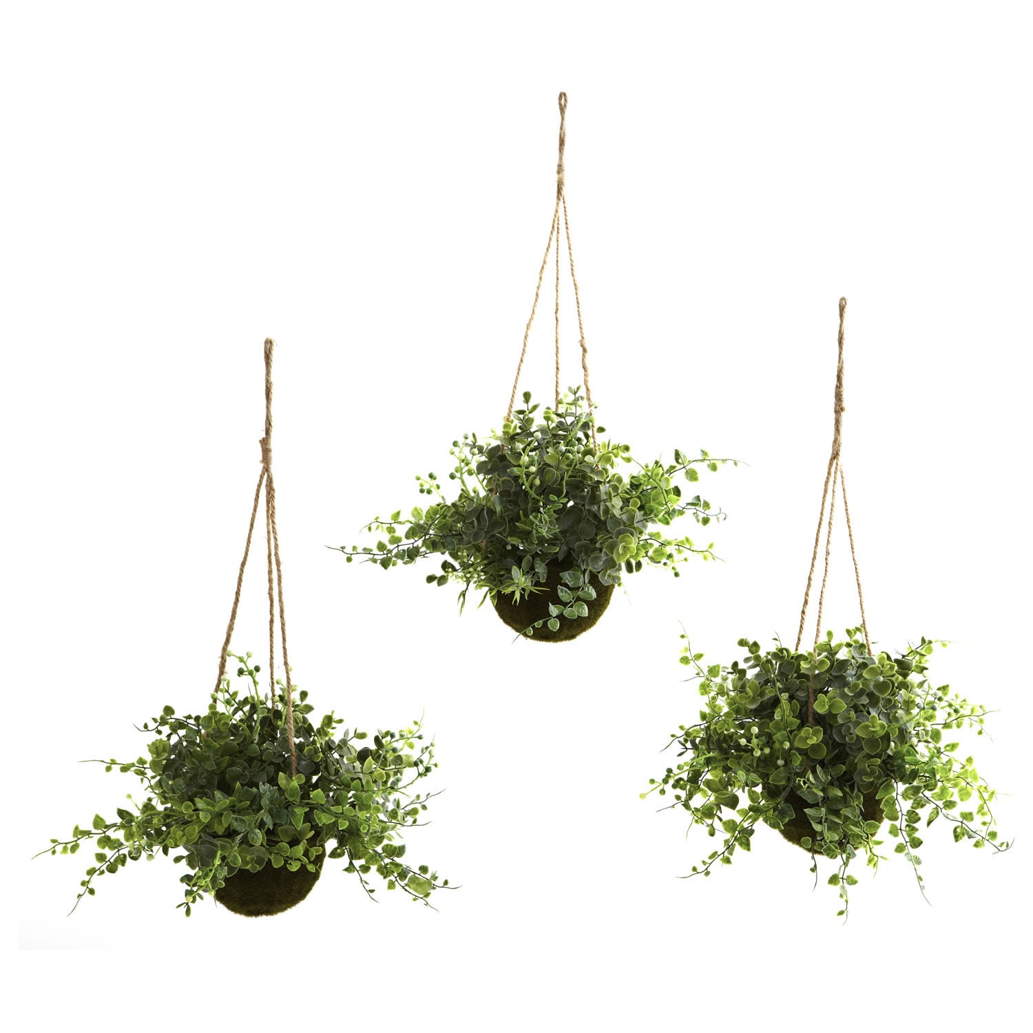 Eucalyptus And Maiden Hair Hanging Basket (set Of 3)