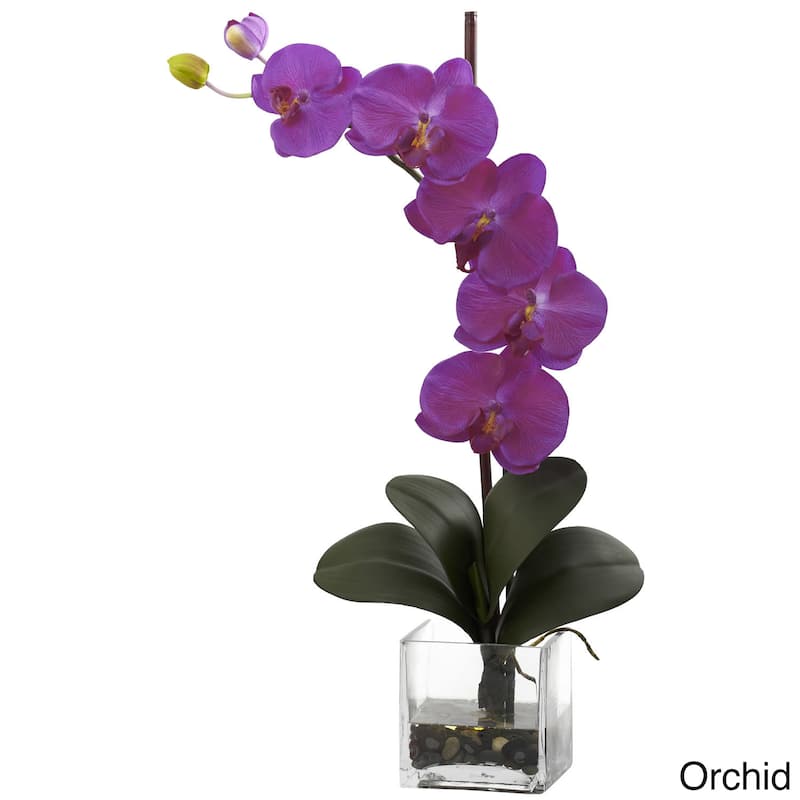 Giant Phal Orchid with Vase Arrangement - Giant Phal Orchid w/Vase Arrangement - Orchid
