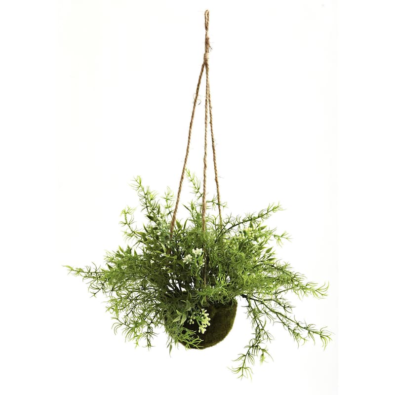 Ruscus and Sedum Hanging Basket (Set of 3)