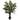 3.5-Foot Evergreen Plant