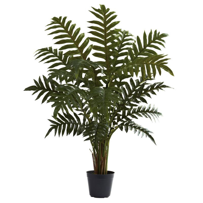 3.5-Foot Evergreen Plant