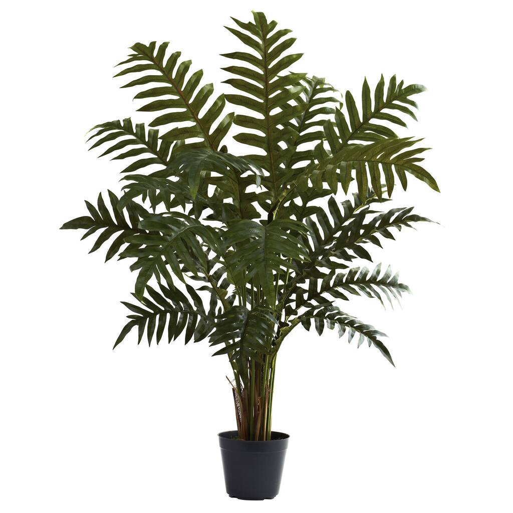 3.5-Foot Evergreen Plant