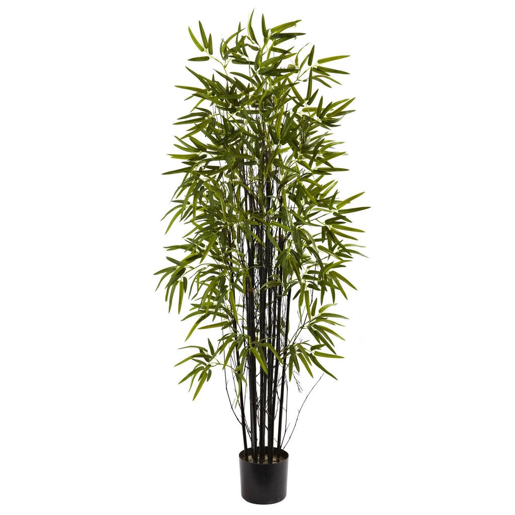 5-Foot Black Bamboo Tree