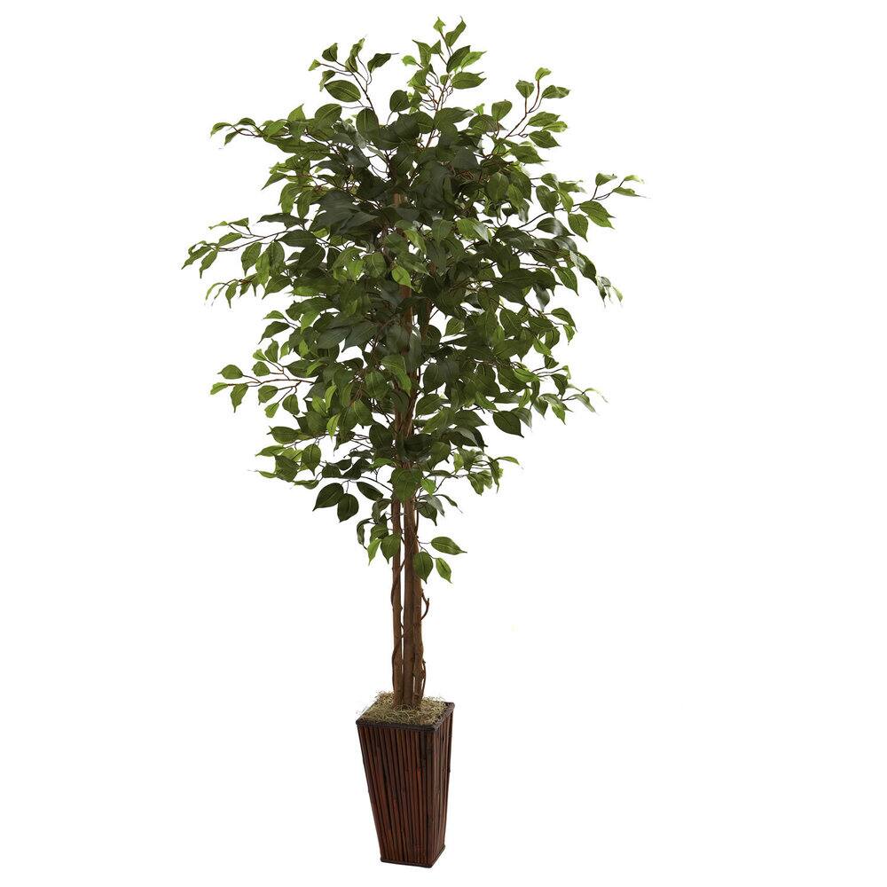 6-foot Ficus Tree and Bamboo Planter - Green