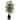 44-inch Ficus Tree and Decorative Planter