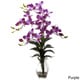 preview thumbnail 1 of 2, Nearly Natural Dendrobium Orchid Vase Arrangement Decorative Plant Purple