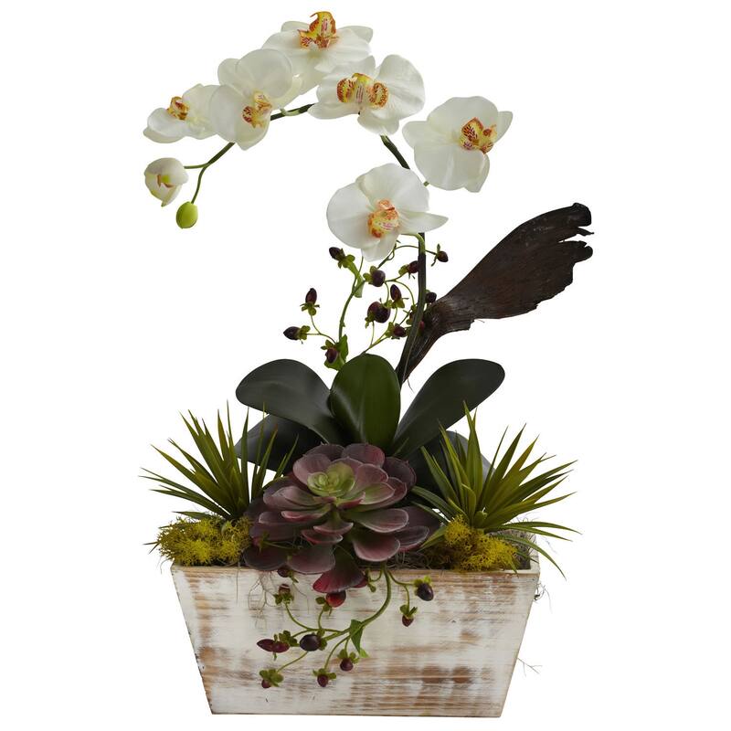 The Gray Barn Jartop Orchid and Succulent Garden White Wash Planter Decorative Plant - White Wash