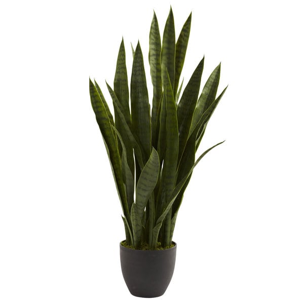 Buy Artificial Plants Online At Overstock Our Best Decorative