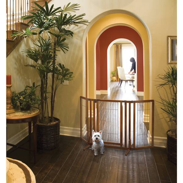 Shop Richell Premium Plus Freestanding 2 8 X 2 10 5 3 Pet Gate