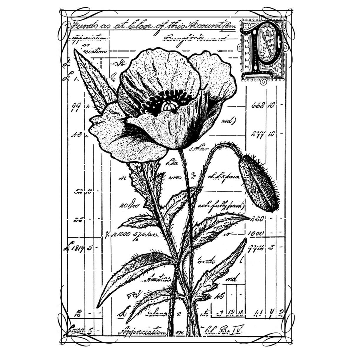 Crafty Individuals Unmounted Rubber Stamp 4.75 X7 Pkg  Pretty Poppy