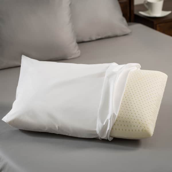 Premium Natural Latex Foam Pillow   Overstock   83870