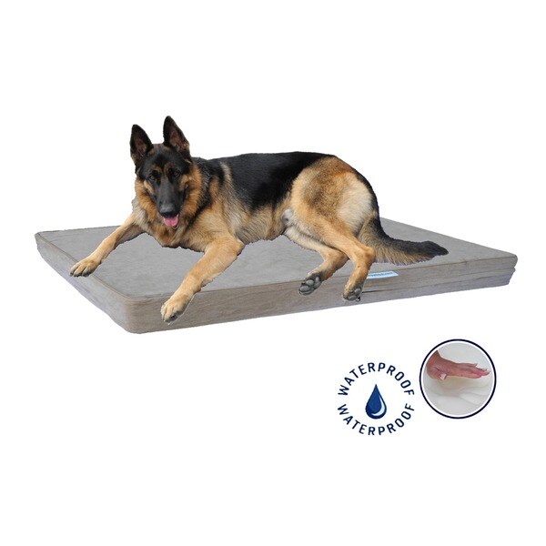 Shop Go Pet Club Khaki Memory Foam Pet Bed Free Shipping Today