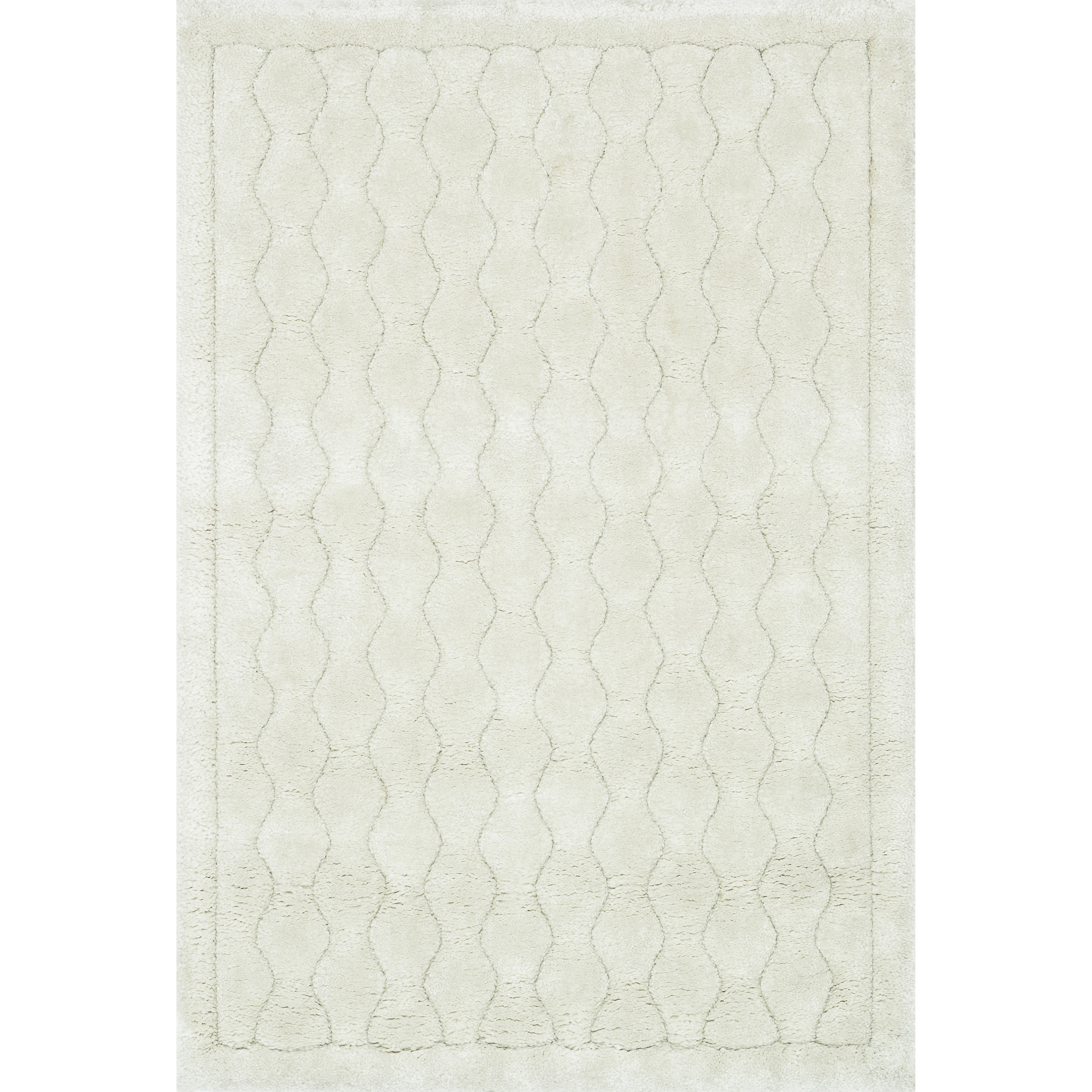 Plush Ivory Shag Rug (22 X 39)