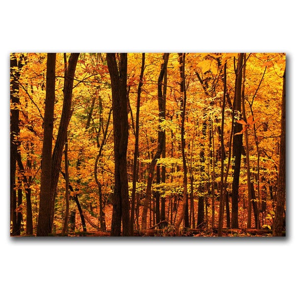 CATeyes 'Delicious Autumn' Canvas Art - Overstock - 8419214