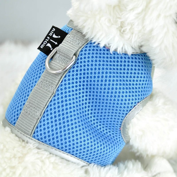 Wacky Paws Air Mesh Pet Harness (Light Blue) Portable Carriers