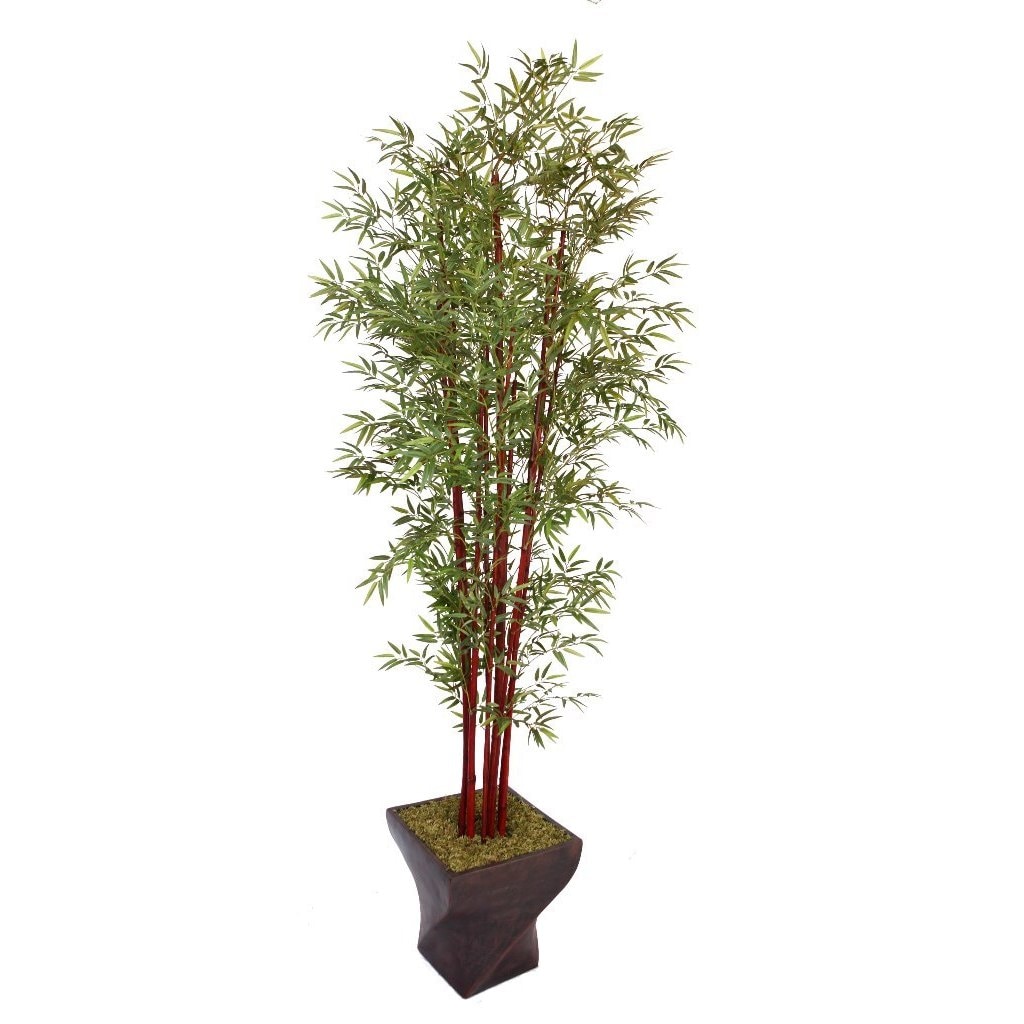 Laura Ashley 102 Tall Harvest Bamboo Tree In 17 Fiberstone Planter