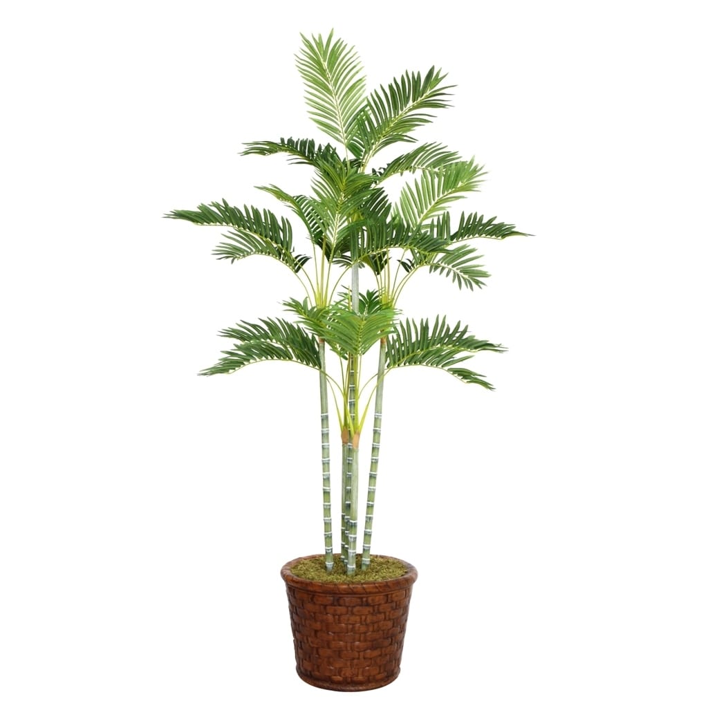 Laura Ashley 73 Tall Palm Tree In 17 Fiberstone Planter