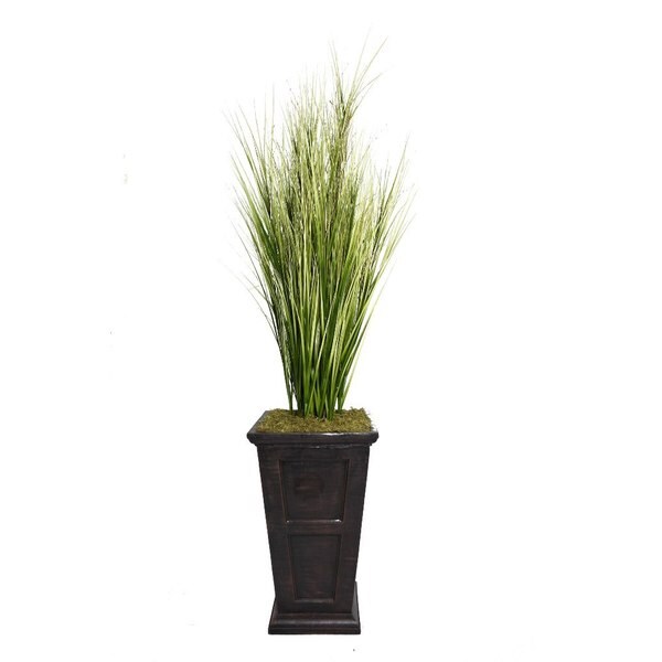 Laura Ashley 79" Tall Onion Grass with Twigs in 16" Fiberstone Planter