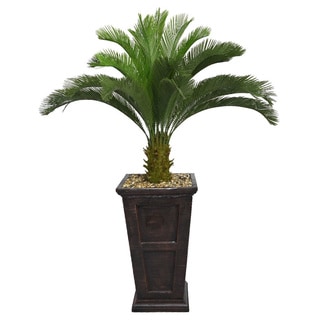 Vintage Home 67-inch Tall Cycas Palm Tree in Fiberstone Planter - 67 ...