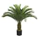 Vintage Home 48-inch Cycas Palm Tree - 48