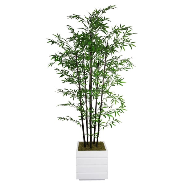 Shop Laura Ashley 78inch Tall Black Bamboo Tree in Fiberstone Planter Free Shipping Today