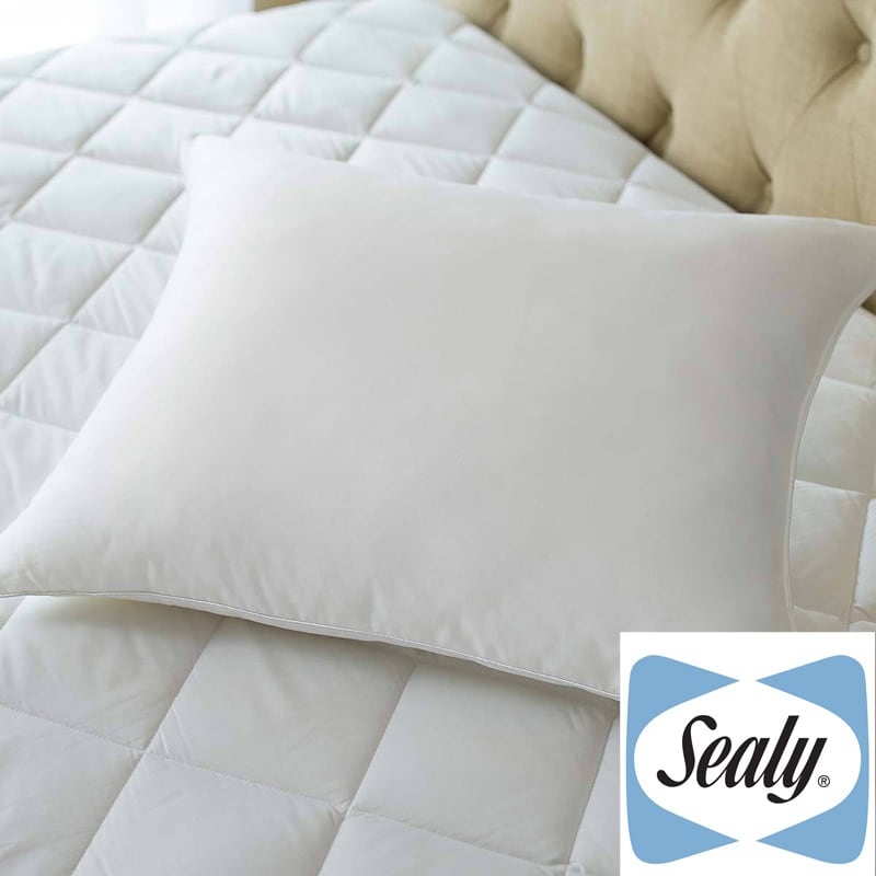 Sealy Posturepedic Posture Fit Stomach Sleeper Pillow