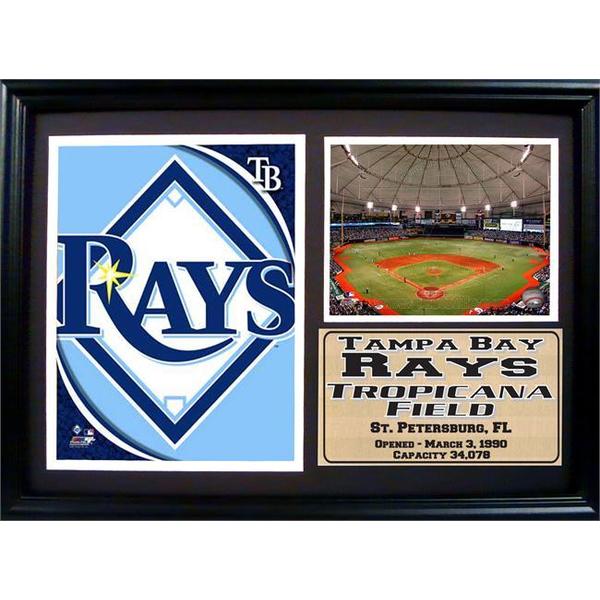 Tampa Bay Rays Stadium 12 x 18-inch Deluxe Frame
