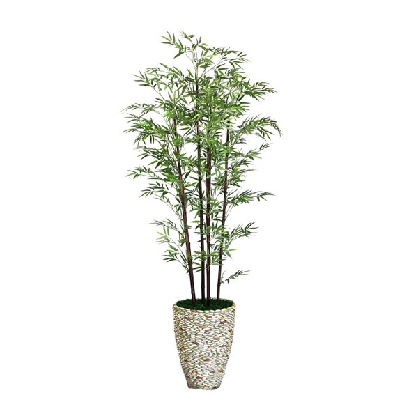 Laura Ashley 86' Tall Black Bamboo Tree in 16' Fiberstone Planter