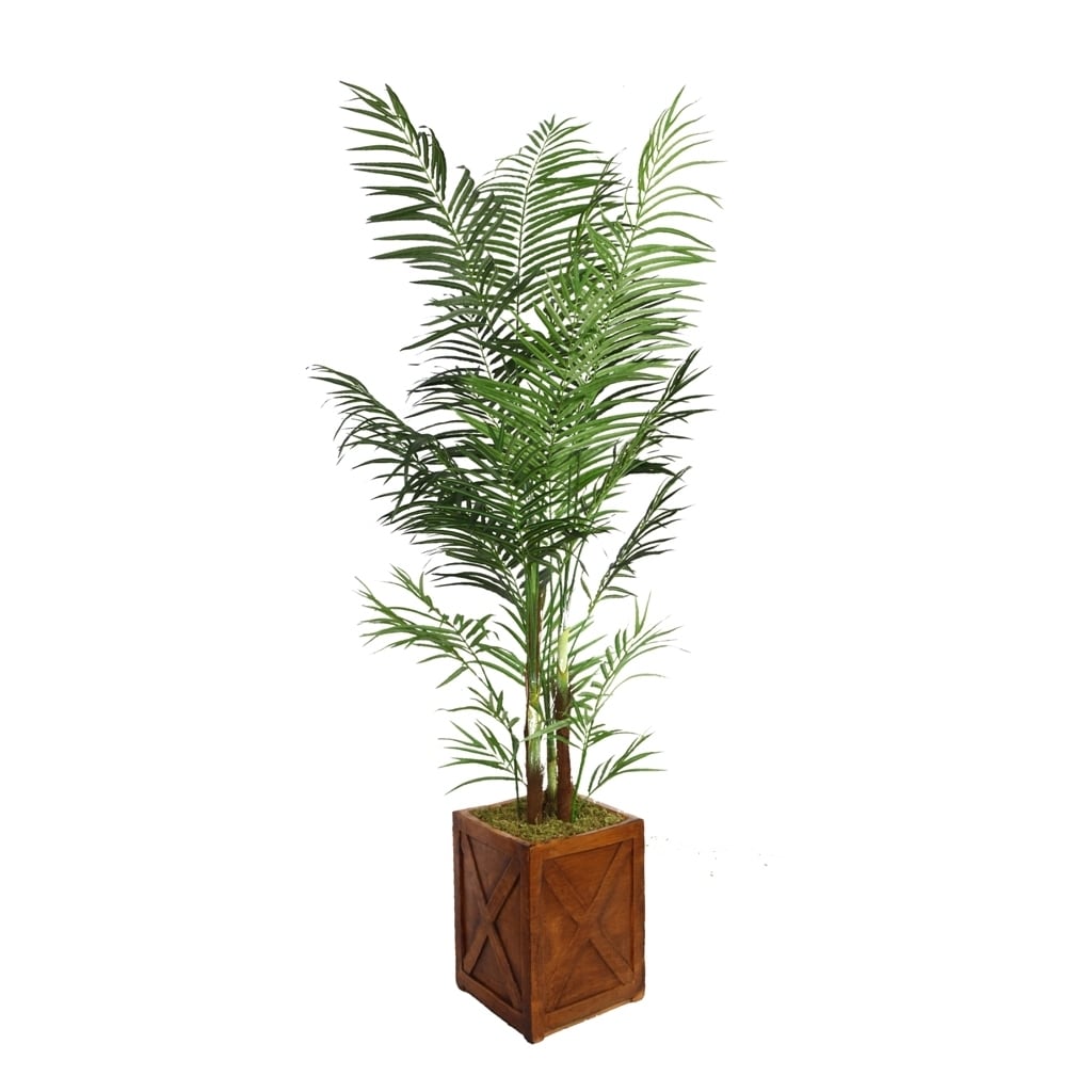 Laura Ashley 85 Tall Areca Palm Tree In 13 Fiberstone Planter