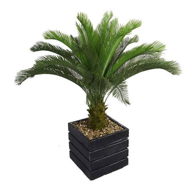54" Tall Cycas Palm Tree in 14" Fiberstone Planter