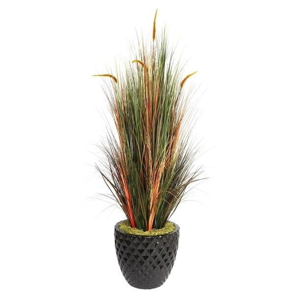 Laura Ashley 66" Tall Onion Grass with Cattails in 16" Fiberstone Planter